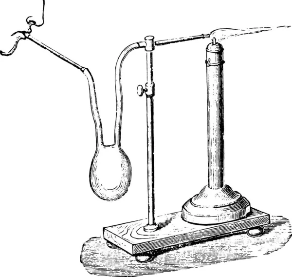 Ficklampa Mun Luca Vintage Ingraverad Illustration Industriella Encyklopedi Lami 1875 — Stock vektor