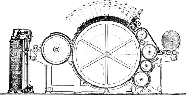 Blette Mixte Pour Section Longitudinale Coton Illustration Gravée Vintage Encyclopédie — Image vectorielle