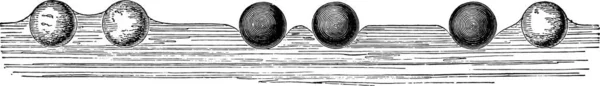 Ілюстрація Чорно Білого Зображення Змії — стоковий вектор