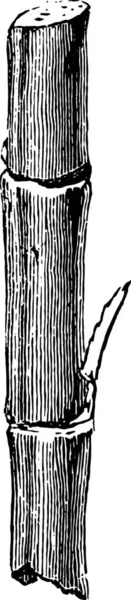 Гравюра Деревянного Забора — стоковый вектор