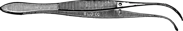 鉗子処理カバーガラス 組織およびセクションのブロックの便利なヴィンテージ刻まれた図 — ストックベクタ