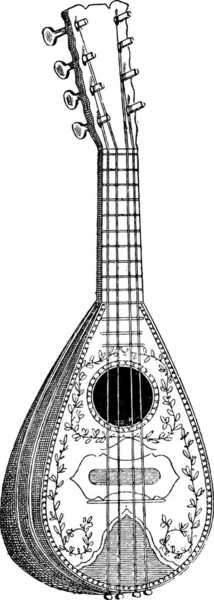 Gitarre Und Musikinstrument — Stockvektor