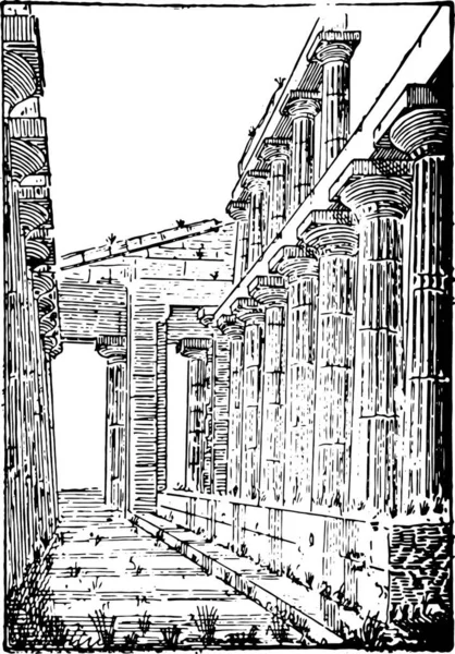 Templo Netuno Templo Hera Paestum Ilustração Gravada Vintage Dicionário Palavras —  Vetores de Stock