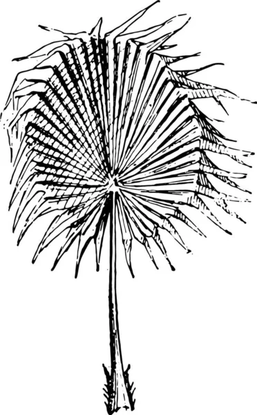 Dibujo Blanco Negro Árbol — Vector de stock