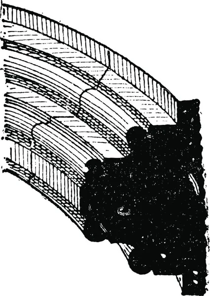 Żebra Sklepienia Gotyckie Architektura Sztuka Ilustracja Grawerowane Słownik Słów Rzeczy — Wektor stockowy