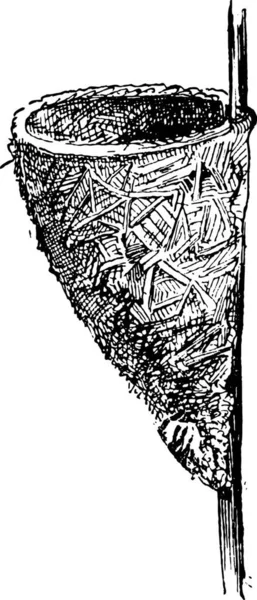 Nid Wren Troglodytes Montrant Une Forme Conique Faite Brindilles Herbe — Image vectorielle
