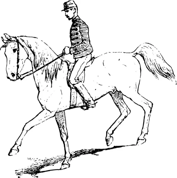 Passagem Cavalo Equitação Ilustração Gravada Vintage Dicionário Palavras Coisas Larive — Vetor de Stock
