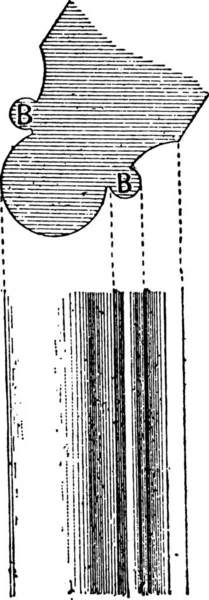 Ілюстрація Фонтану Словника — стоковий вектор