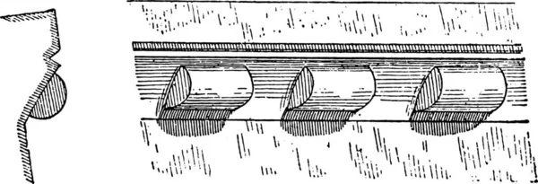 Zeichnung Einer Alten Jahrgangsgravierten Illustration Wörterbuch Gravur Schwarz Weiß — Stockvektor