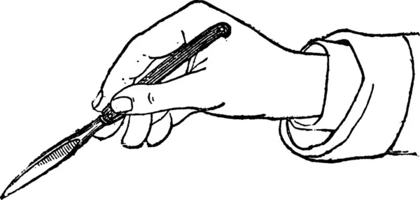 Mão Com Caneta Lápis — Vetor de Stock