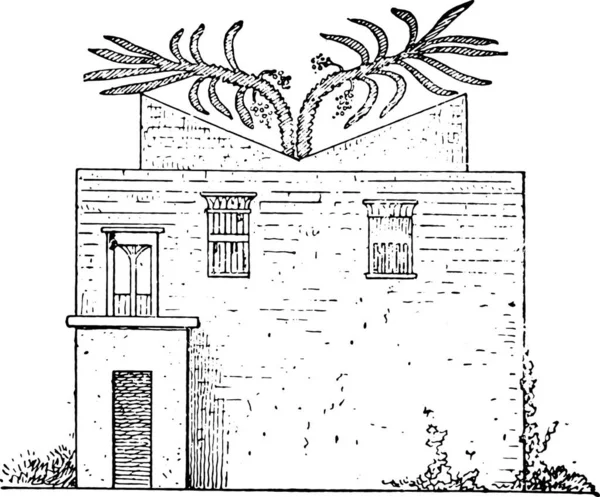 Boceto Casa Vieja Con Flores Plantas — Archivo Imágenes Vectoriales