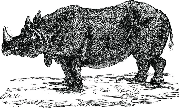 Иллюстрация Лошади — стоковый вектор