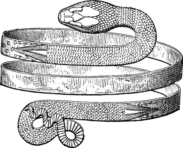 Bracelet Spiral Snake Discovered Pompeii Vintage Engraved Illustration Private Life — Stock Vector