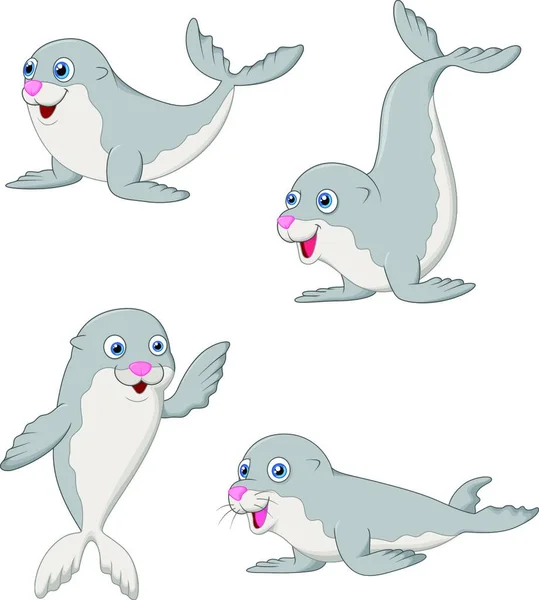 Carino Baby Seal Cartone Animato — Vettoriale Stock