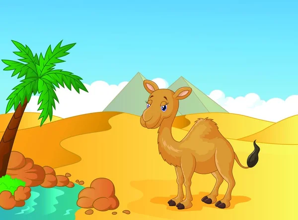 Карикатурный Верблюд Фоне Пустыни — стоковый вектор