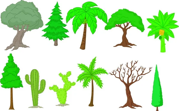 各种树收集矢量图解背景 — 图库矢量图片