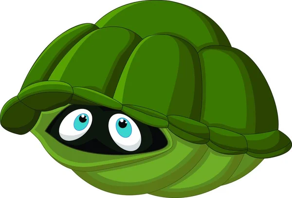 Cartoon Schildkröte Versteckt Sich Ihrem Panzer — Stockvektor