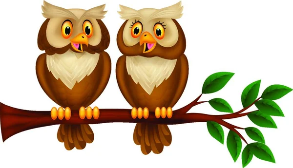 Cartoon Couple Owl Branch — Stock Vector