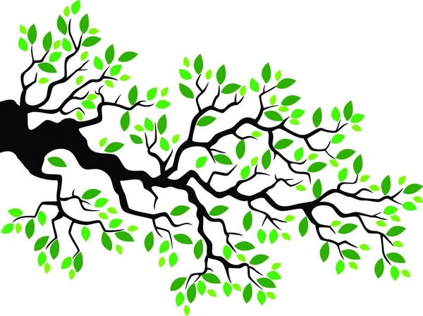 Vector Illustration Tree — Stock Vector