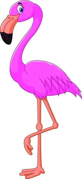 Karikatur Flamingo Vektor Illustration Hintergrund — Stockvektor