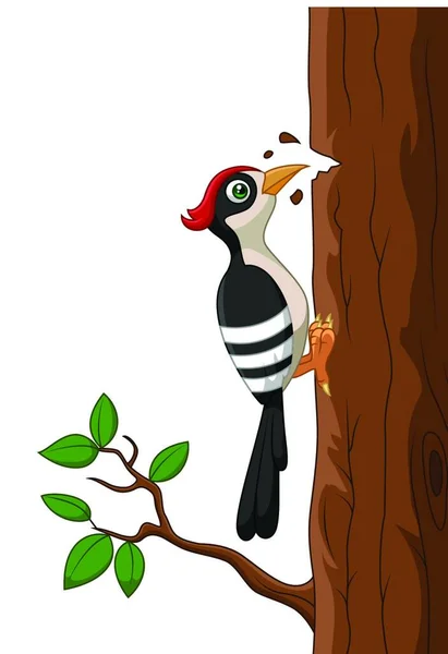 用白色背景隔离的啄木鸟卡通片 — 图库矢量图片