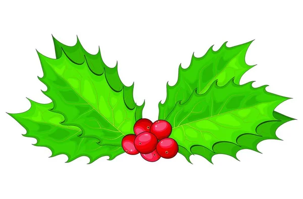 ホリーベリー クリスマスの葉や果物のアイコン シンボル デザイン 白い背景の冬のベクトルイラスト 装飾的な小枝 赤い果実を持つミステリーの束 — ストックベクタ