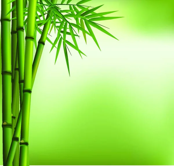 Illustration Bambou Vert Isolé Avec Fond Vert — Image vectorielle