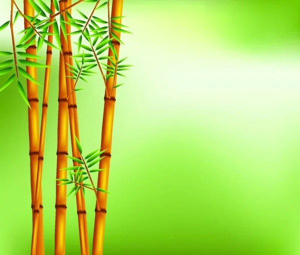 Бамбуковое Дерево Зеленом Фоне — стоковый вектор
