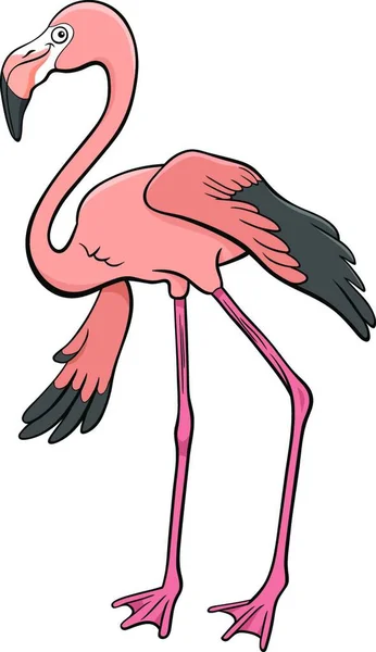 Ilustração Dos Desenhos Animados Caráter Animal Engraçado Flamingo Bird —  Vetores de Stock