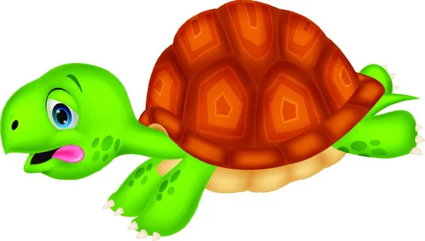 Söt Sköldpadda Tecknade Kör — Stock vektor