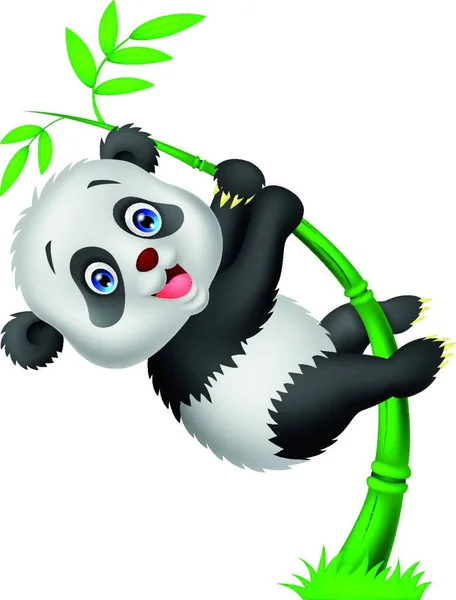 Niedlichen Lustigen Baby Panda Auf Dem Bambus Hängen — Stockvektor