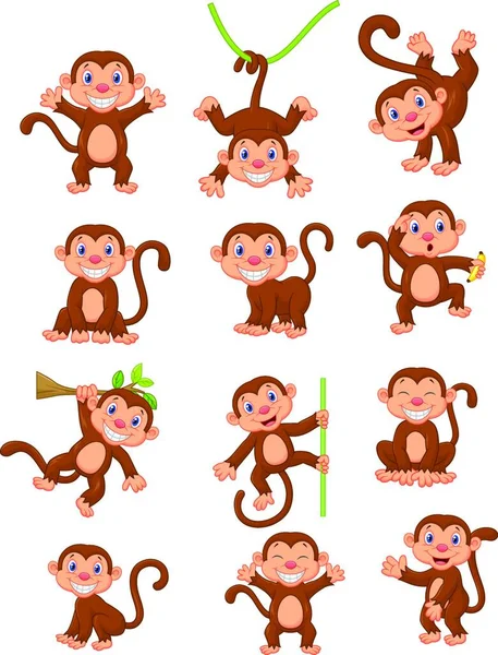 Conjunto Coleção Desenhos Animados Macaco Feliz — Vetor de Stock