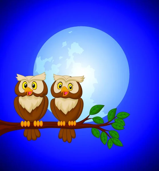 Couple Owl Cartoon Night — Stock Vector