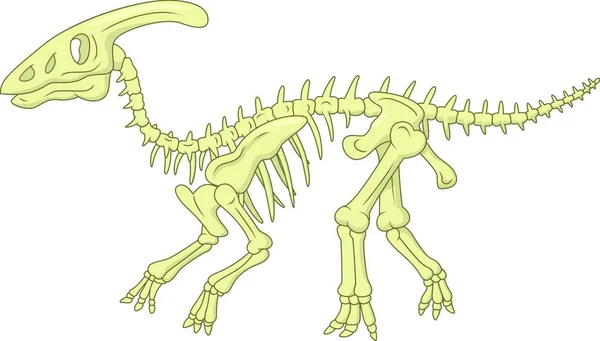 有骨骼的恐龙图解 — 图库矢量图片