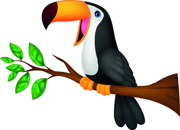 Roliga Toucan Fågel Cartoon — Stock vektor