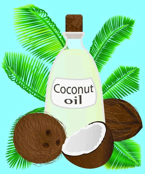 Huile Coco Dans Pot Noix Coco Feuilles Palmier Comme Illustration — Image vectorielle