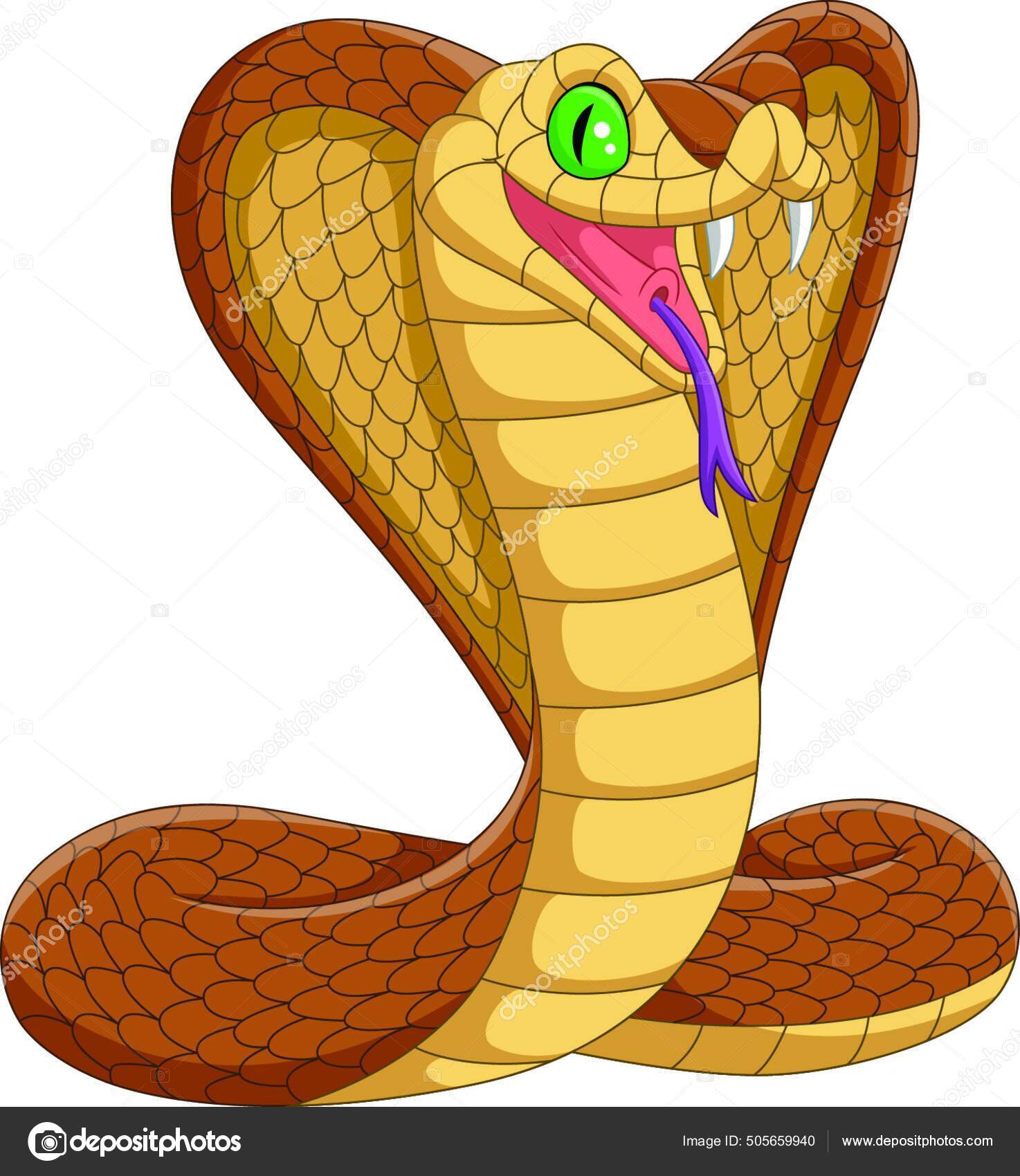 White snake cobra Royalty Free Vector Image - VectorStock