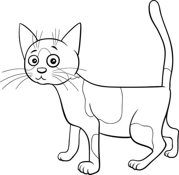 Black White Cartoon Illustration Spotted Cat Kitten Comic Animal Character — Stock Vector
