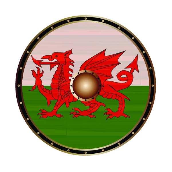 Bouclier Rond Style Viking Avec Conception Couleur Drapeau Dragon Rouge — Image vectorielle