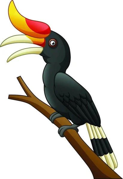 Cartoon Hornvogel Vogel Isoliert Auf Weißem Hintergrund — Stockvektor