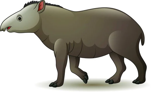 Beyaz Arka Planda Izole Edilmiş Amerikan Tapirinin Tasviri — Stok Vektör