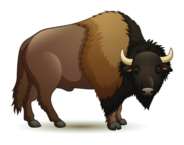 Illustration Bisonoxe Isolerad Vit Bakgrund — Stock vektor