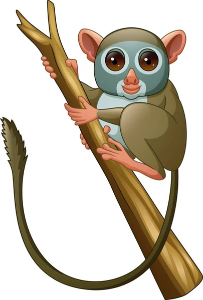 stock vector Cartoon Tarsius on a tree branch