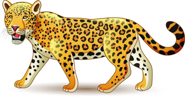 Leopardo Dibujos Animados Aislado Sobre Fondo Blanco — Vector de stock