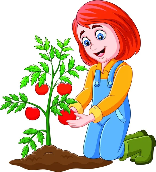 Cartoon Menina Colhendo Tomates — Vetor de Stock