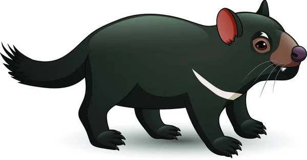 Ilustrasi Tasmanian Devil Diisolasi Pada Latar Belakang Putih - Stok Vektor