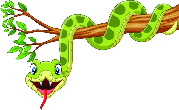 Cobra Verde Dos Desenhos Animados Galho Árvore —  Vetores de Stock
