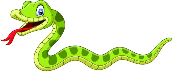 Niedliche Grüne Schlange Karikatur Auf Weißem Hintergrund — Stockvektor