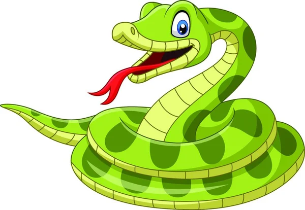 Cartoon Green Snake White Background — Stock Vector