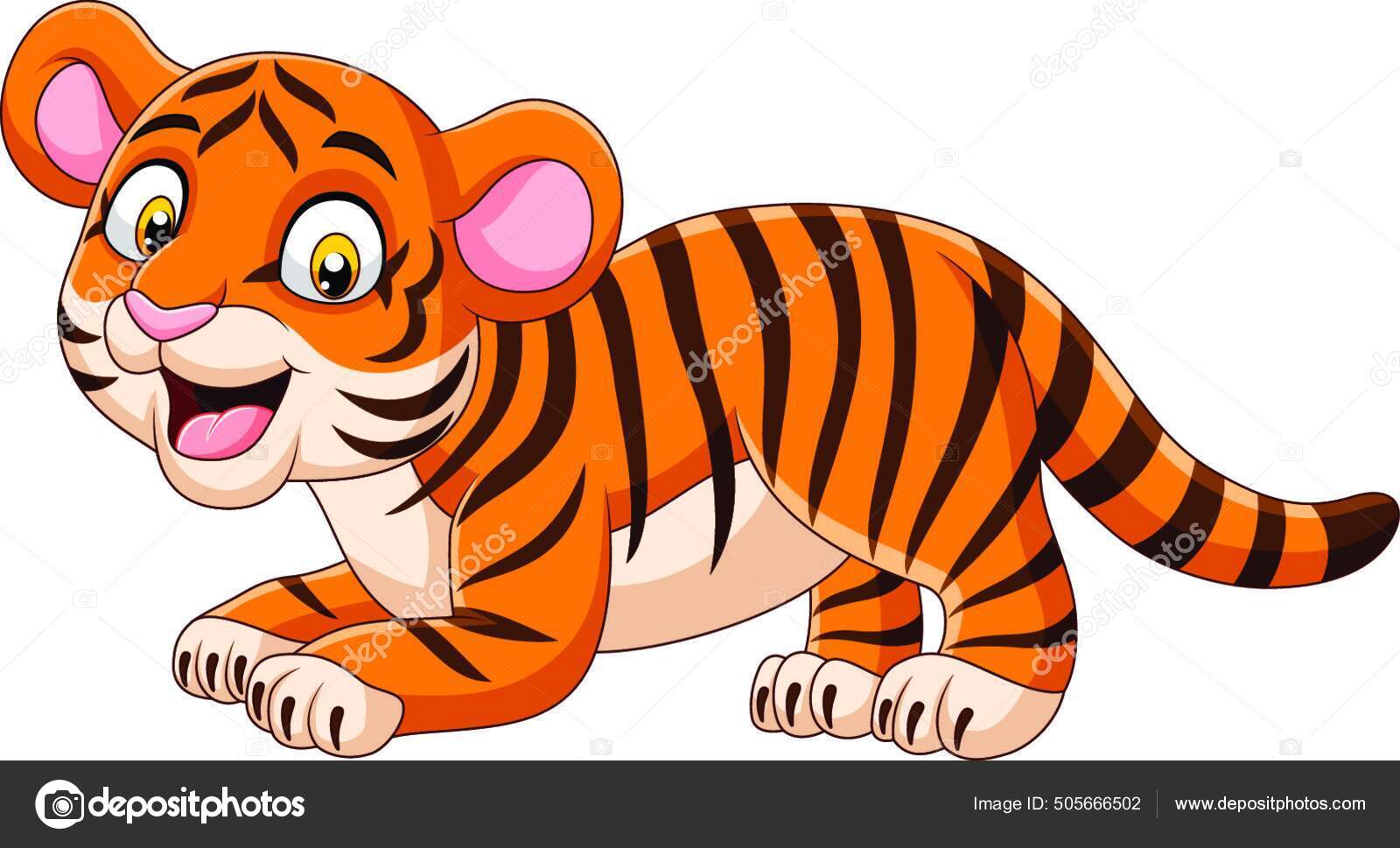 Desenhos Animados Engraçado Bebê Tigre imagem vetorial de ©  PantherMediaSeller #505666502